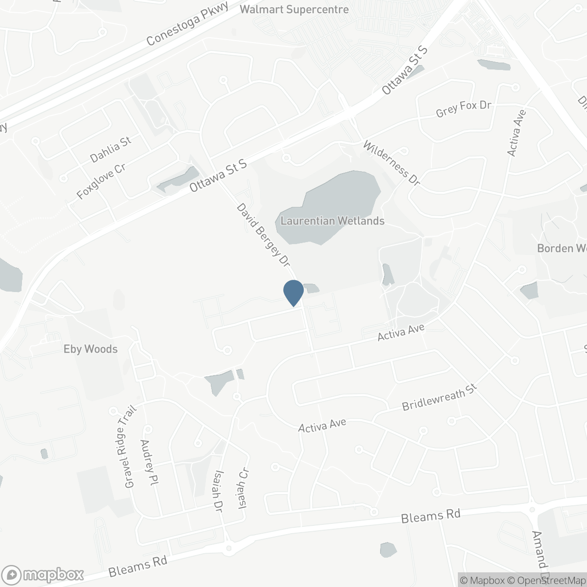171 DAVID BERGEY DRIVE, Kitchener, Ontario N2E 4H6